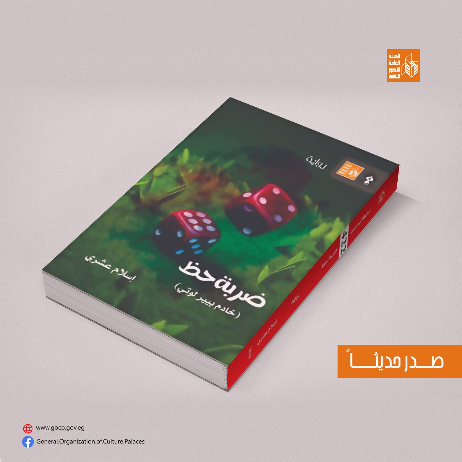 قصور الثقافة تصدر رواية ضربة حظ لإسلام عشري